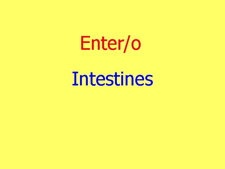 Enter/o Intestines 