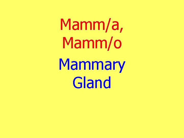 Mamm/a, Mamm/o Mammary Gland 