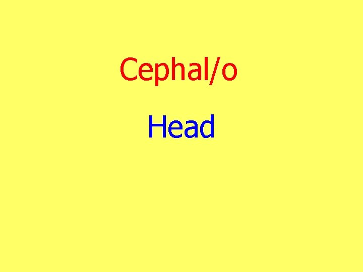 Cephal/o Head 