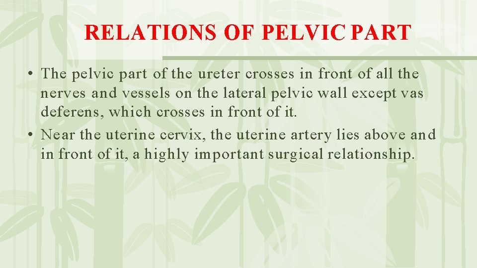 RELATIONS OF PELVIC PART • The pelvic part of the ureter crosses in front