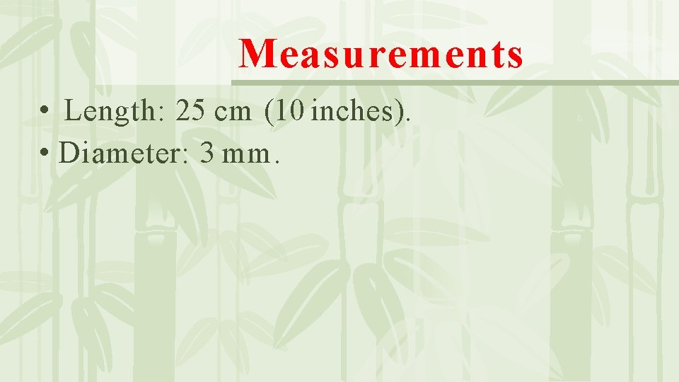 Measurements • Length: 25 cm (10 inches). • Diameter: 3 mm. 