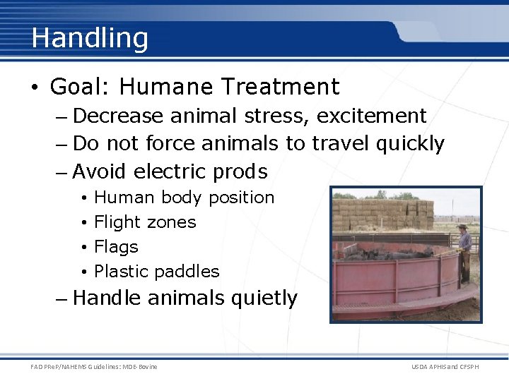 Handling • Goal: Humane Treatment – Decrease animal stress, excitement – Do not force