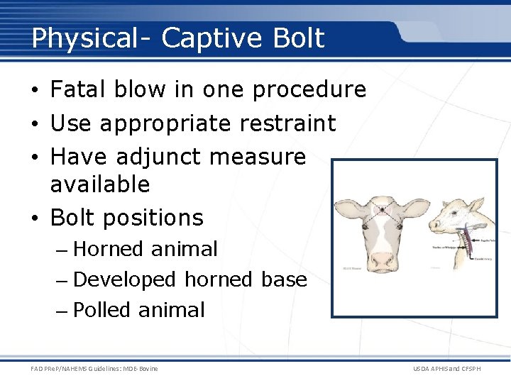 Physical- Captive Bolt • Fatal blow in one procedure • Use appropriate restraint •