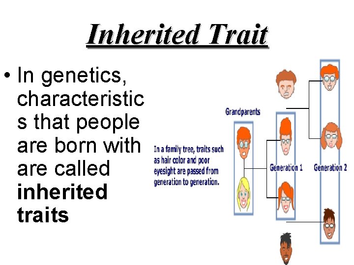 Inherited Trait • In genetics, characteristic s that people are born with are called