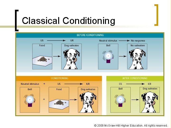 Classical Conditioning © 2009 Mc. Graw-Hill Higher Education. All rights reserved. 