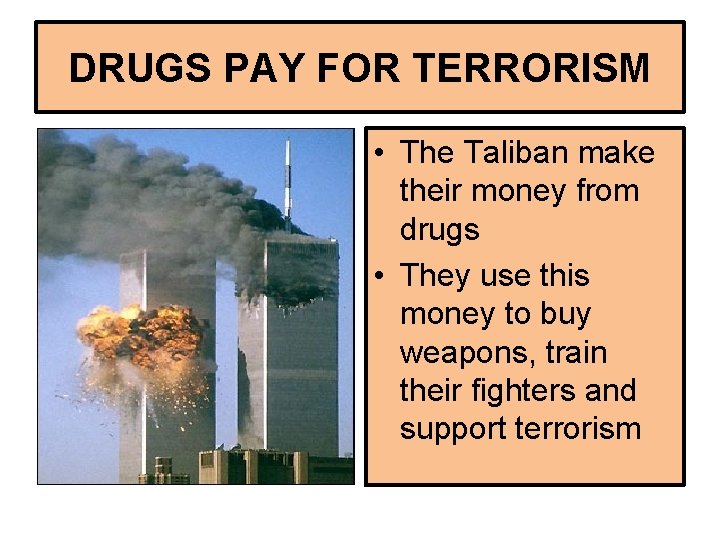 DRUGS PAY FOR TERRORISM • The Taliban make their money from drugs • They