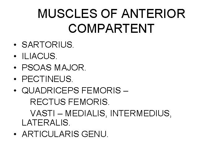 MUSCLES OF ANTERIOR COMPARTENT • • • SARTORIUS. ILIACUS. PSOAS MAJOR. PECTINEUS. QUADRICEPS FEMORIS