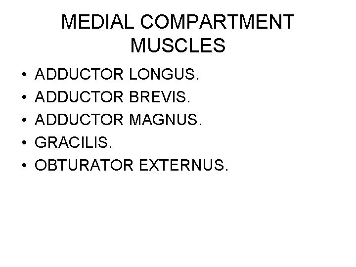 MEDIAL COMPARTMENT MUSCLES • • • ADDUCTOR LONGUS. ADDUCTOR BREVIS. ADDUCTOR MAGNUS. GRACILIS. OBTURATOR