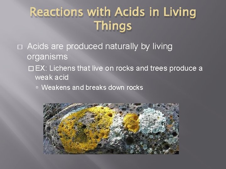Reactions with Acids in Living Things � Acids are produced naturally by living organisms