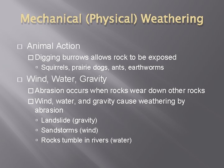 Mechanical (Physical) Weathering � Animal Action � Digging burrows allows rock to be exposed