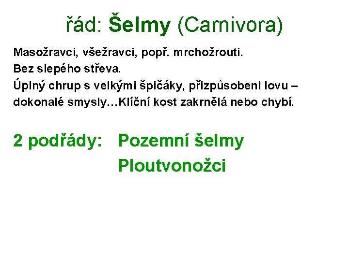 řád: Šelmy (Carnivora) Masožravci, všežravci, popř. mrchožrouti. Bez slepého střeva. Úplný chrup s velkými