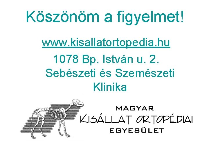 Köszönöm a figyelmet! www. kisallatortopedia. hu 1078 Bp. István u. 2. Sebészeti és Szemészeti