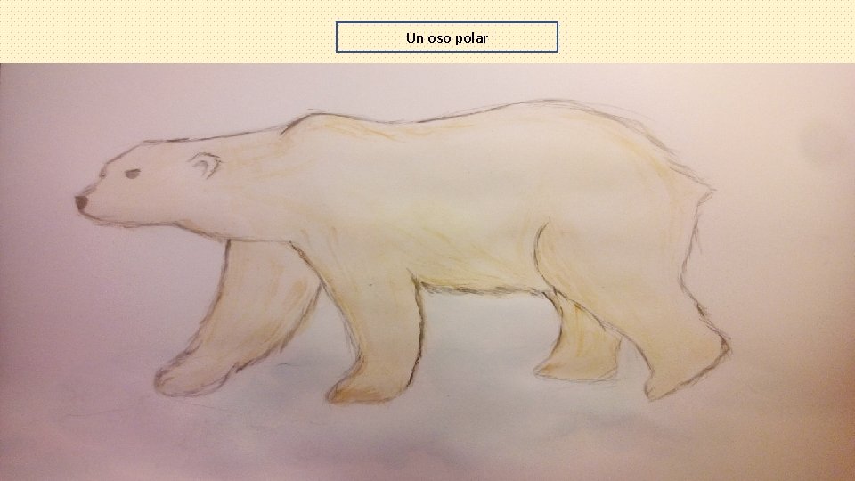 Un oso polar 