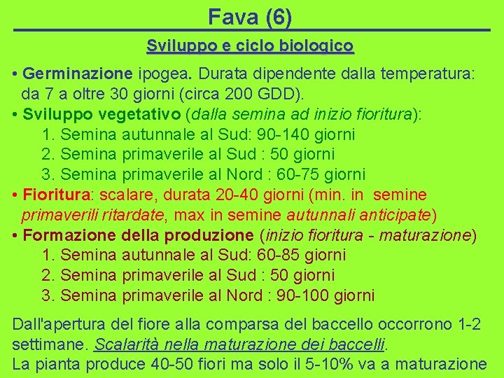 Fava (6) Sviluppo e ciclo biologico • Germinazione ipogea. Durata dipendente dalla temperatura: da