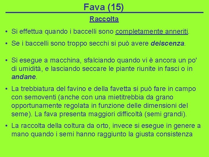 Fava (15) Raccolta • Si effettua quando i baccelli sono completamente anneriti. • Se