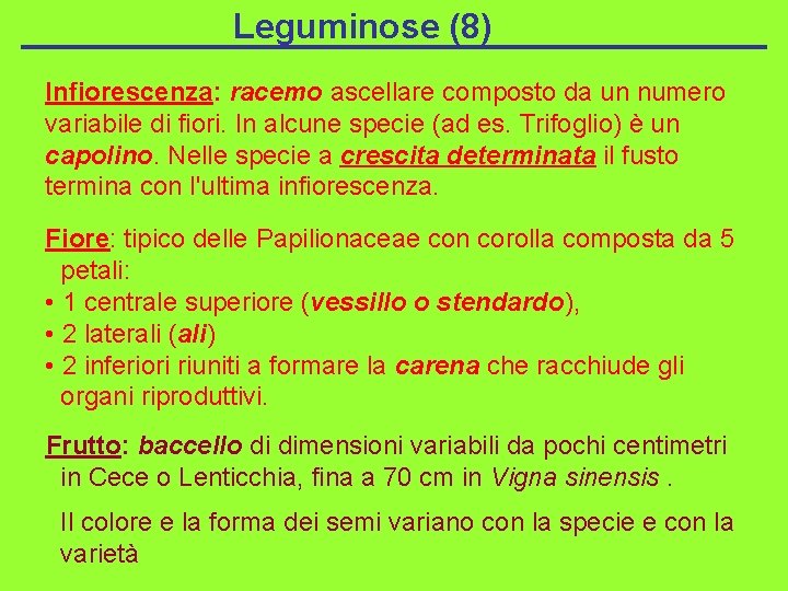 Leguminose (8) Infiorescenza: racemo ascellare composto da un numero variabile di fiori. In alcune