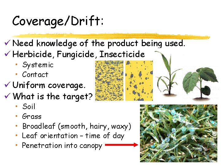 Coverage/Drift: ü Need knowledge of the product being used. ü Herbicide, Fungicide, Insecticide •