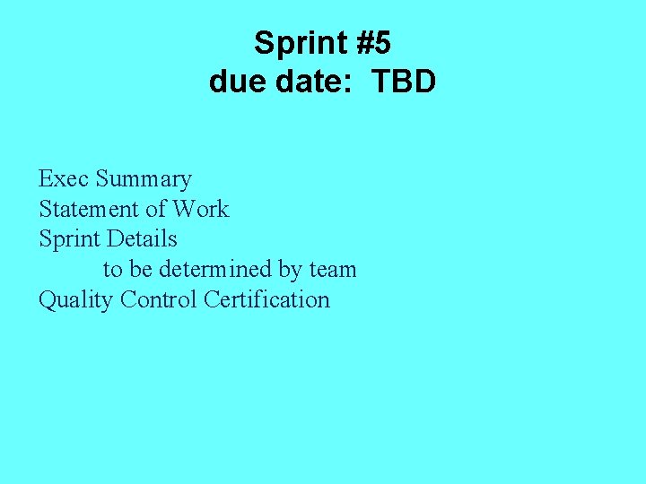 Sprint #5 due date: TBD Exec Summary Statement of Work Sprint Details to be