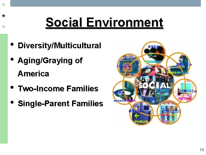 * * * Social Environment • Diversity/Multicultural • Aging/Graying of America • Two-Income Families