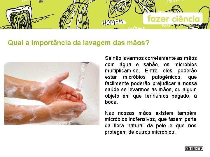 Qual a importância da lavagem das mãos? Se não lavarmos corretamente as mãos com