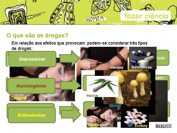 O que são as drogas? Em relação aos efeitos que provocam, podem-se considerar três