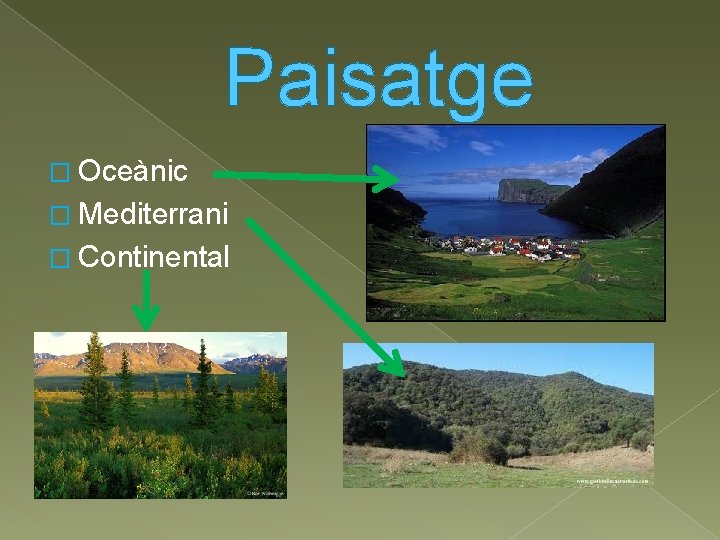 Paisatge � Oceànic � Mediterrani � Continental 