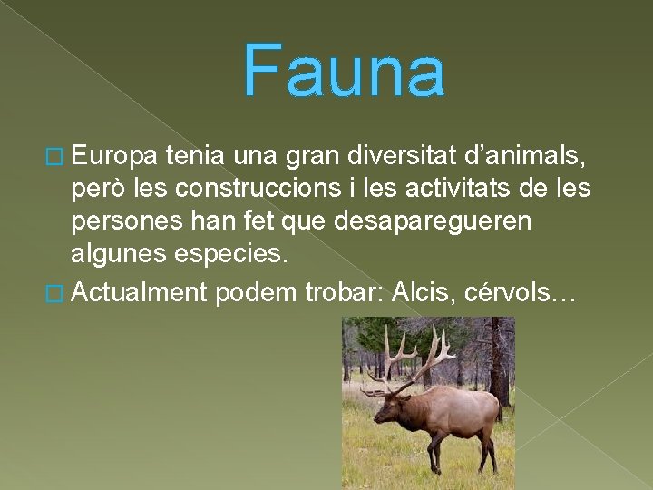 Fauna � Europa tenia una gran diversitat d’animals, però les construccions i les activitats