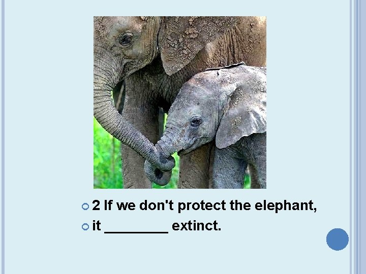  2 If we don't protect the elephant, it ____ extinct. 