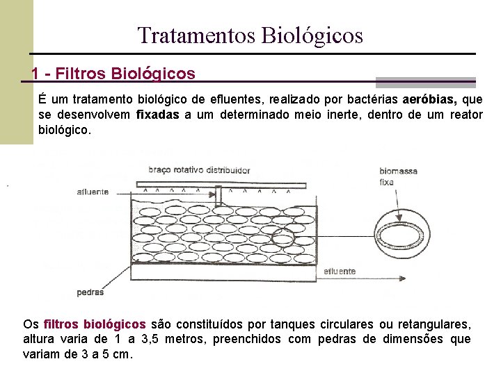 Tratamentos Biológicos 1 - Filtros Biológicos É um tratamento biológico de efluentes, realizado por