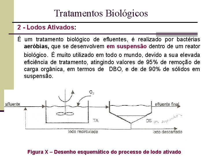 Tratamentos Biológicos 2 - Lodos Ativados: É um tratamento biológico de efluentes, é realizado