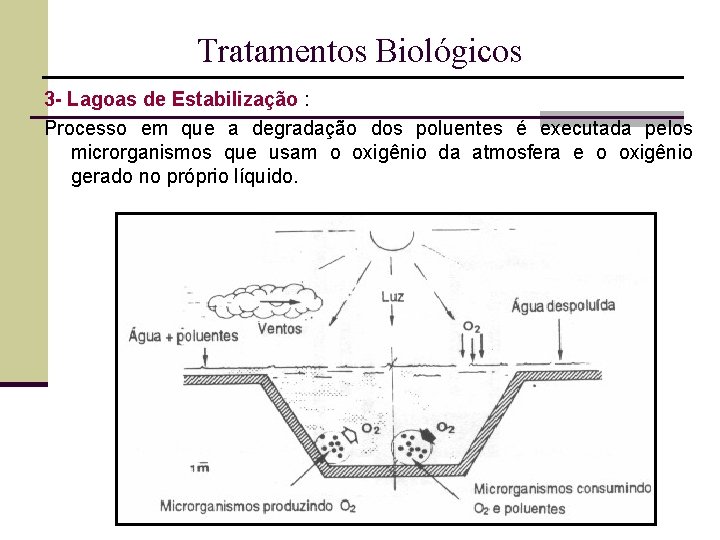 Tratamentos Biológicos 3 - Lagoas de Estabilização : Processo em que a degradação dos