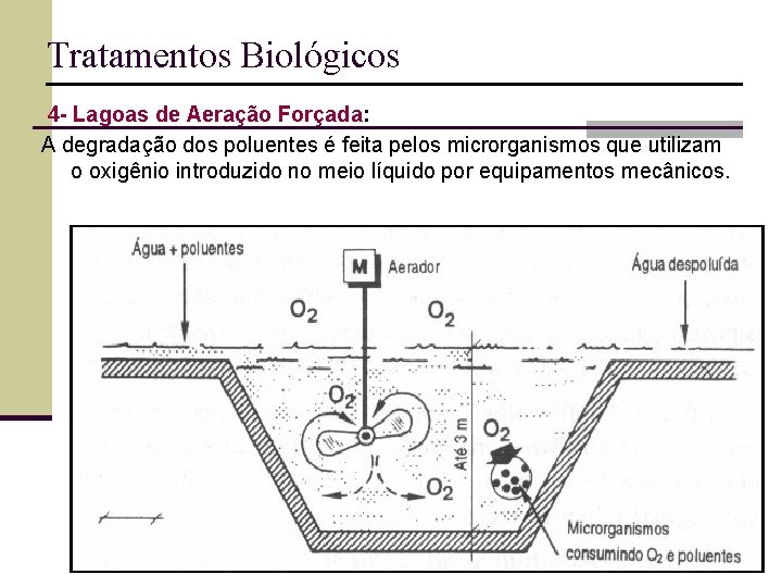 Tratamentos Biológicos 4 - Lagoas de Aeração Forçada: A degradação dos poluentes é feita