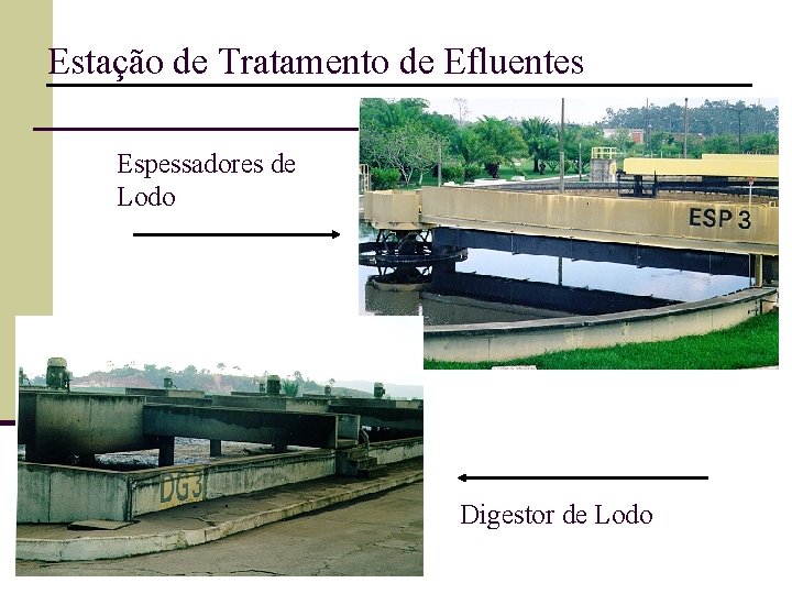 Estação de Tratamento de Efluentes Espessadores de Lodo Digestor de Lodo 