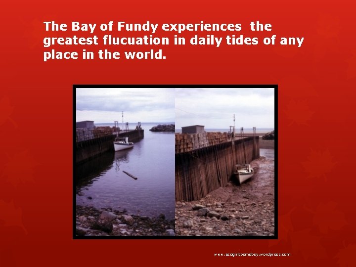 The Bay of Fundy experiences the greatest flucuation in daily tides of any place
