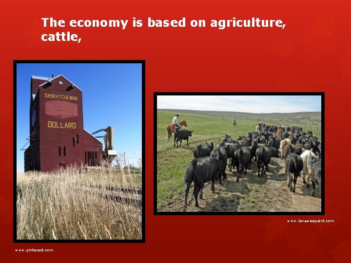 The economy is based on agriculture, cattle, www. lenaweepaint. com www. pinterest. com 