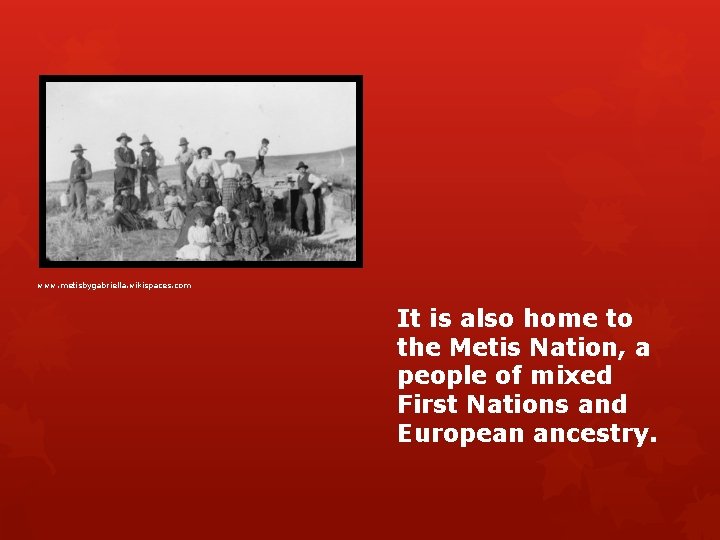 www. metisbygabriella. wikispaces. com It is also home to the Metis Nation, a people