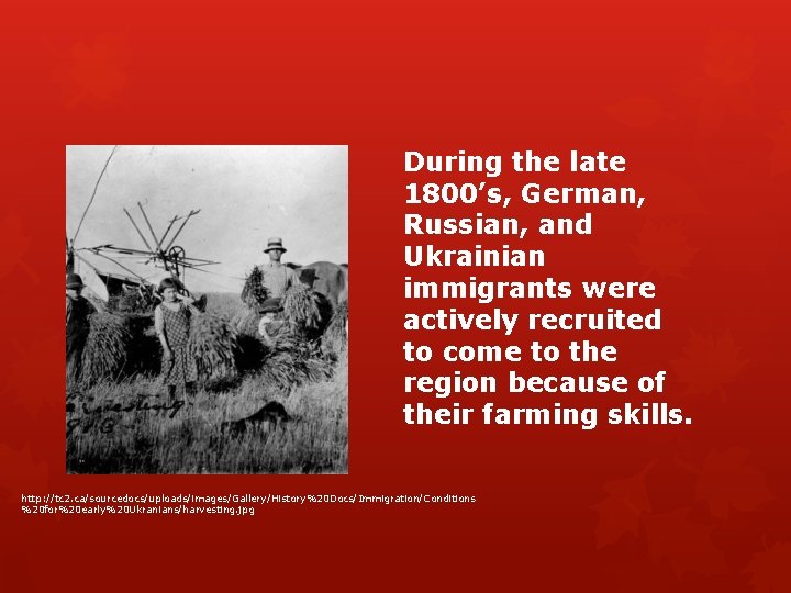 During the late 1800’s, German, Russian, and Ukrainian immigrants were actively recruited to come