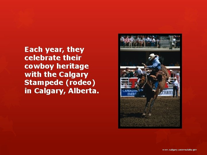 Each year, they celebrate their cowboy heritage with the Calgary Stampede (rodeo) in Calgary,