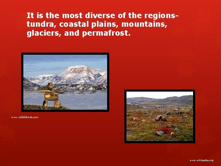 It is the most diverse of the regionstundra, coastal plains, mountains, glaciers, and permafrost.