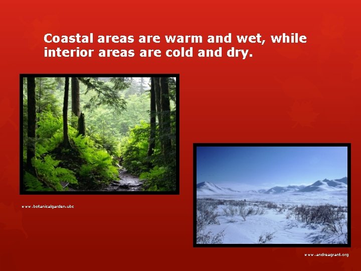 Coastal areas are warm and wet, while interior areas are cold and dry. www.