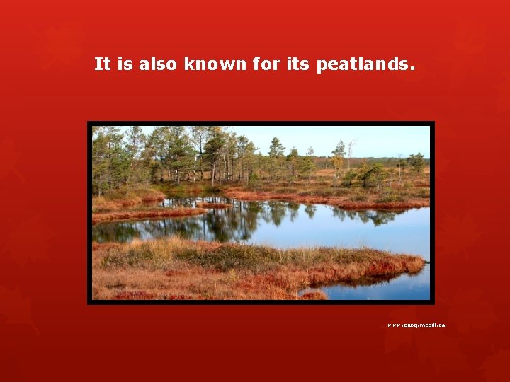It is also known for its peatlands. www. geog. mcgill. ca 