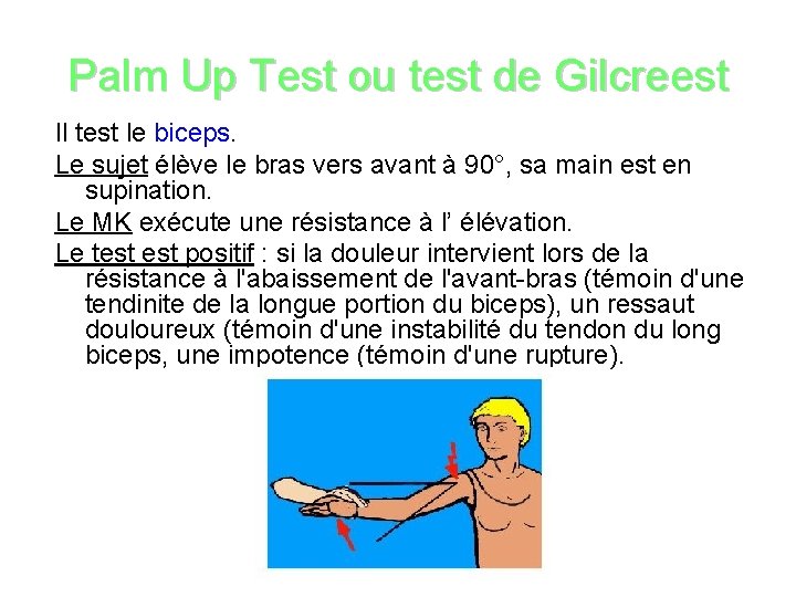 Palm Up Test ou test de Gilcreest Il test le biceps. Le sujet élève