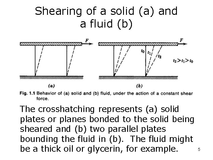 Shearing of a solid (a) and a fluid (b) The crosshatching represents (a) solid