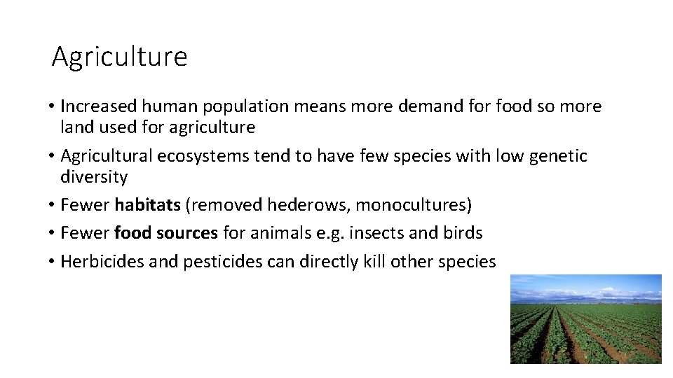 Agriculture • Increased human population means more demand for food so more land used
