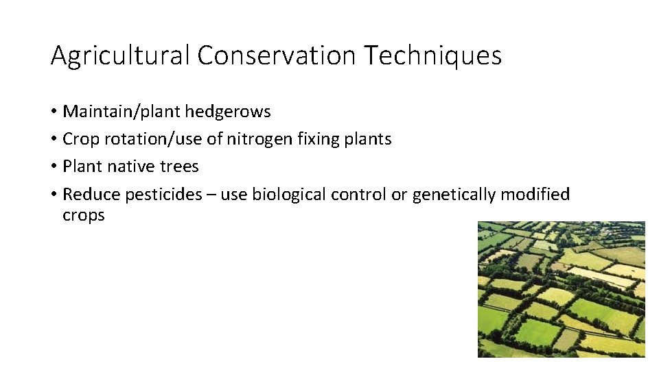 Agricultural Conservation Techniques • Maintain/plant hedgerows • Crop rotation/use of nitrogen fixing plants •