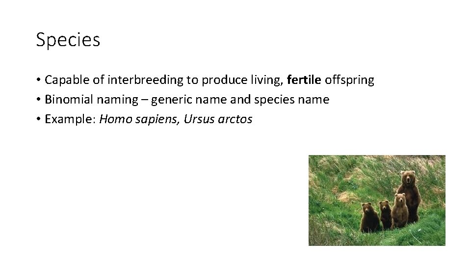 Species • Capable of interbreeding to produce living, fertile offspring • Binomial naming –