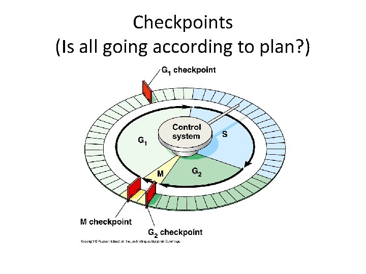 Checkpoints (Is all going according to plan? ) 
