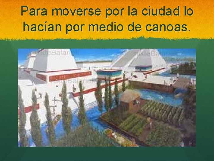 Para moverse por la ciudad lo hacían por medio de canoas. 