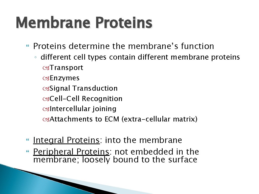 Membrane Proteins determine the membrane’s function ◦ different cell types contain different membrane proteins