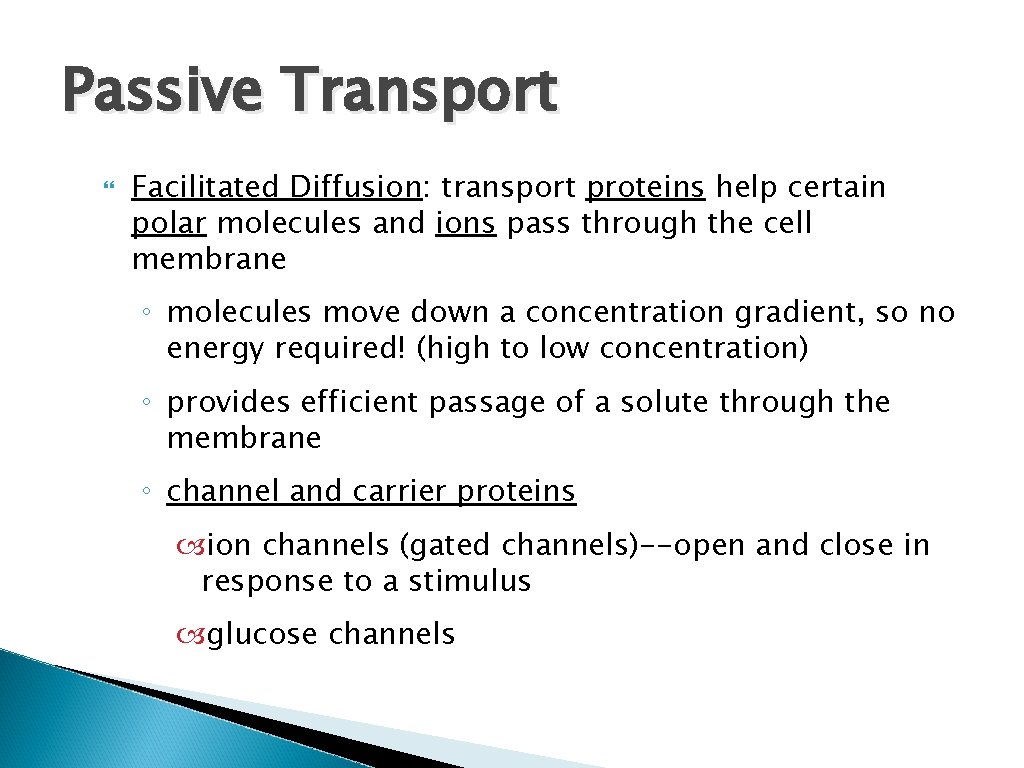 Passive Transport Facilitated Diffusion: transport proteins help certain polar molecules and ions pass through